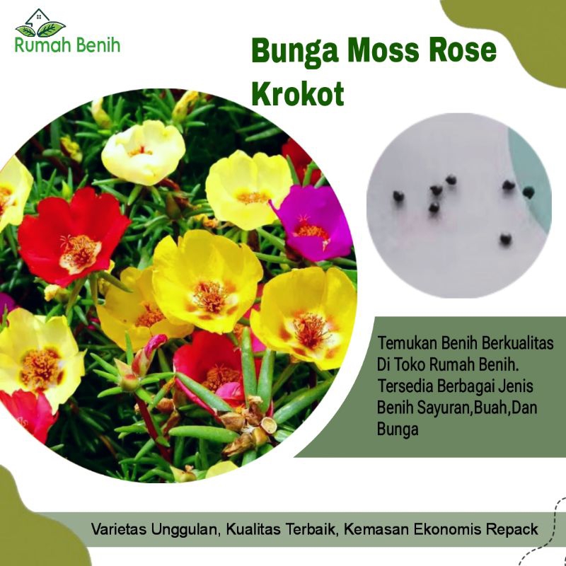 Benih Bunga Moss Rose / Bibit Bunga Moss Rose Mix Colour / Benih Bunga Krokot / Biji Benih Bunga / B