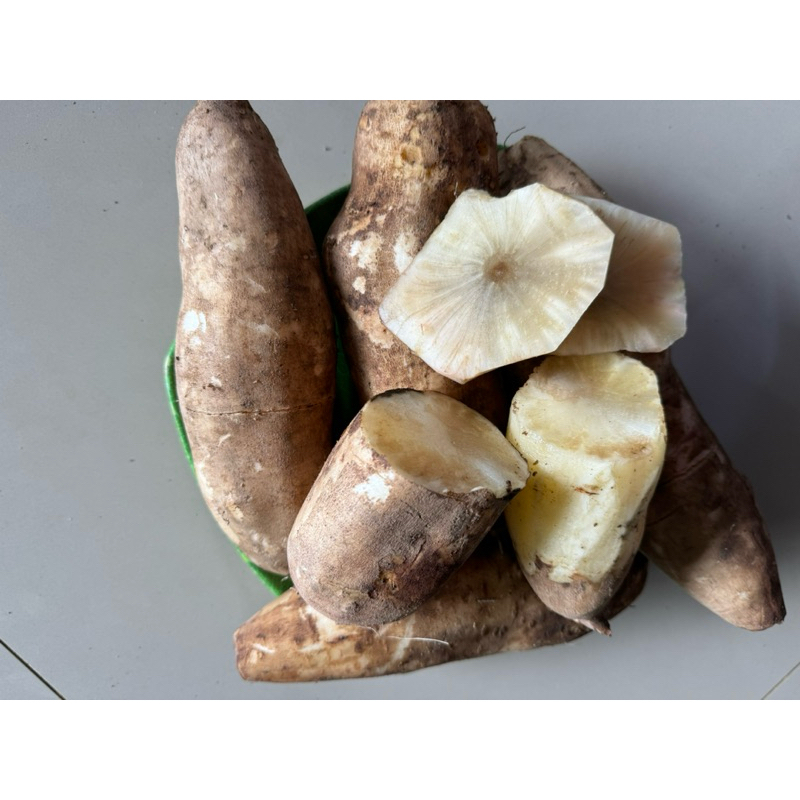 

ubi yacon atau Umbi yacon asli dari peru amerika selatan