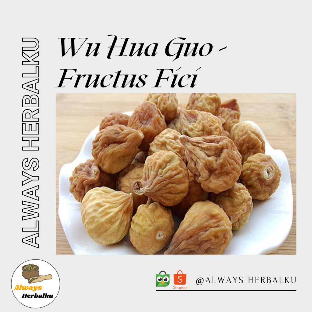 

Wu hua guo / fructus figi / fig (500 gram)
