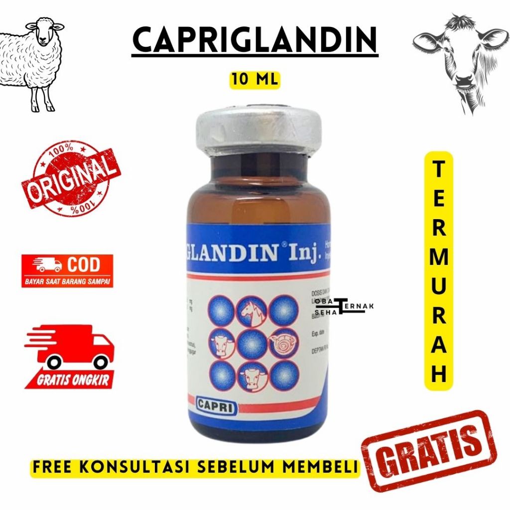 CAPRIGLANDIN INJ 10 ml - Obat Birahi Hewan, Hormon Sinkronisasi Estrus Sapi KambingDombaBabi Kuciing