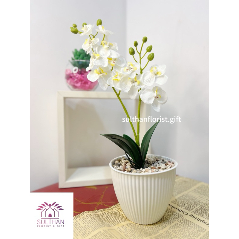 Bunga Meja Anggrek / Bunga Anggrek / Bunga artificial