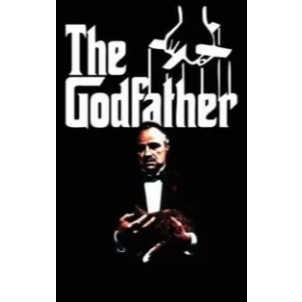 The Godfather GAME PC LAPTOP