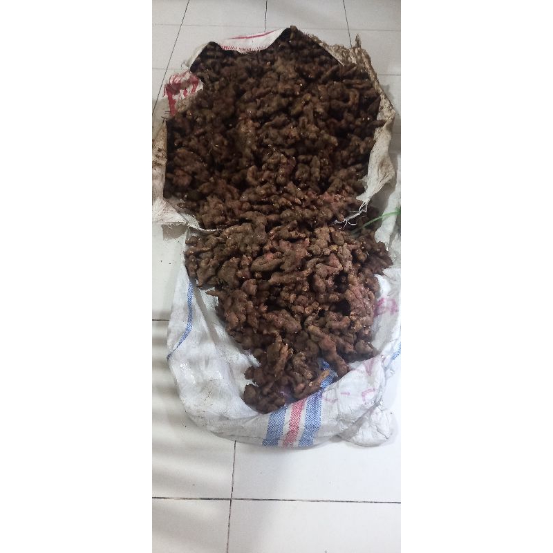 

JAHE MERAH MEDAN SUPER PILIHAN 1 KG