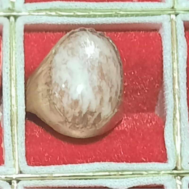 Batu cincin fosil kayu / batu Fosil Kayu asli alam