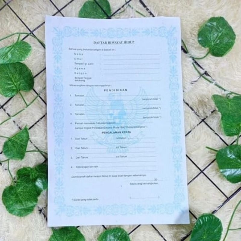 

DAFTAR RIWAYAT HIDUP UNTUK MELAMAR KERJA