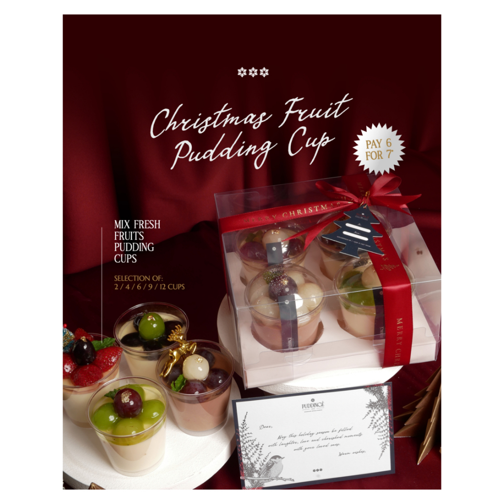 

CHRISTMAS FRUIT PUDDING CUP