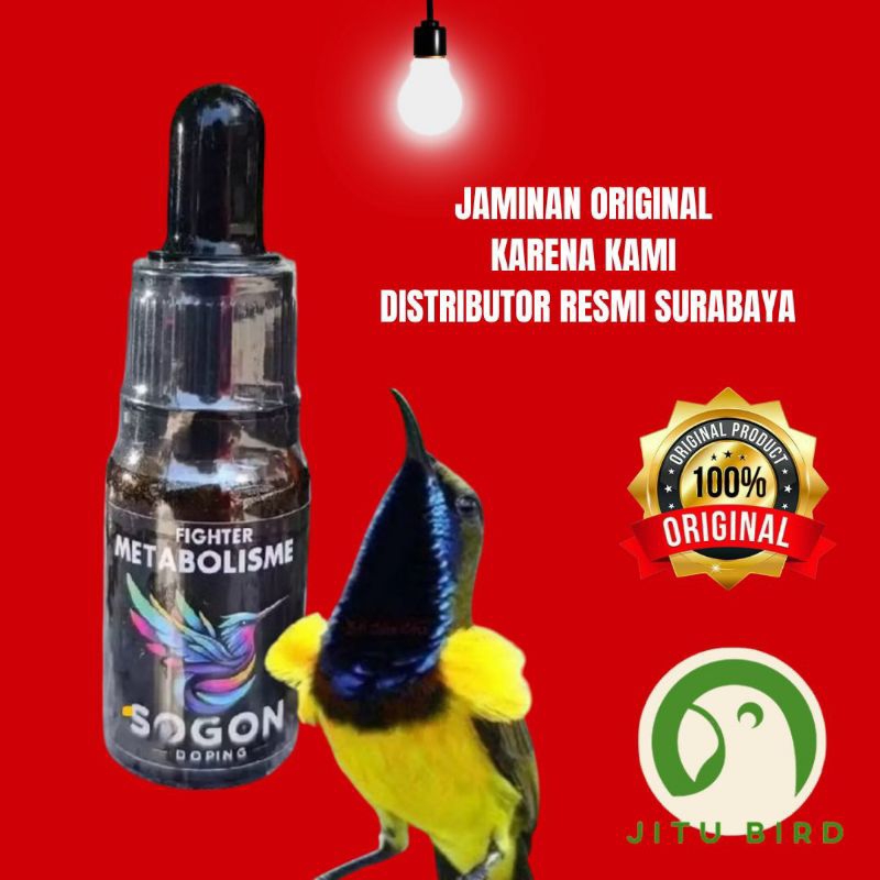 METABOLISME FIGHTER DOPING SOGON DOSIS TINGGI METABOLISME BURUNG ORIGINAL