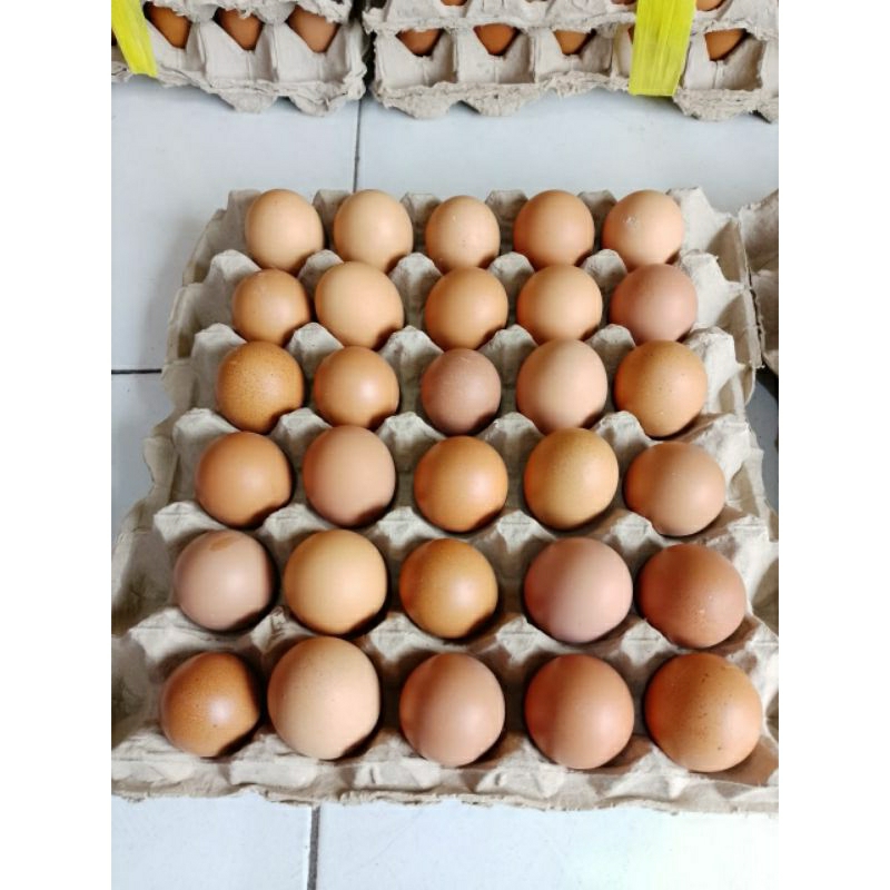 

BgKr TELUR AYAM NEGERI FRESH 1 tray/papan isi 30 butir (1600-1700gram)