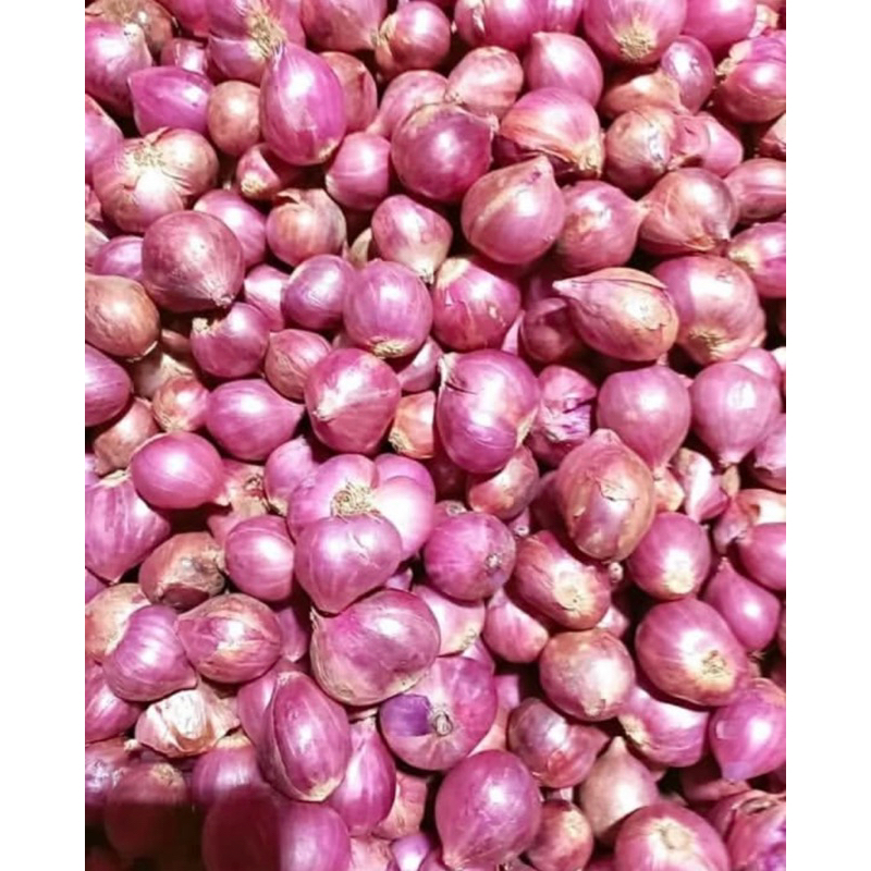 

BAWANG MERAH PEKING 250gram