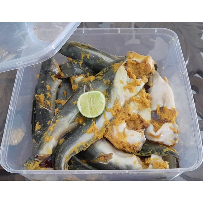 

Lele bumbu kuning (ungkep)