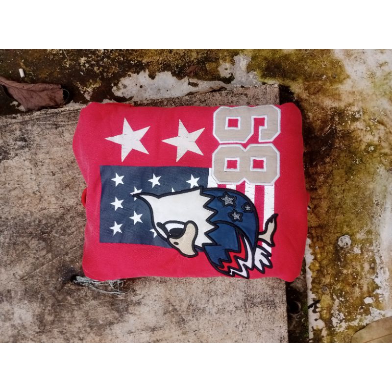 hoodie pancoat eagle