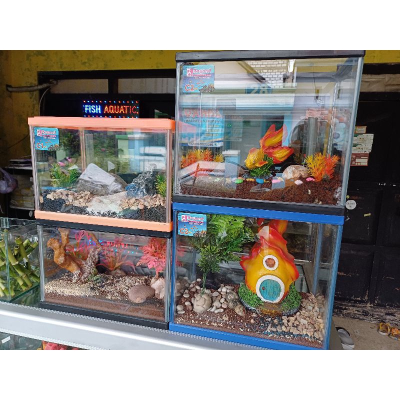 Tank Aquarium Soliter Akrilik Beyond + Lengkap Asesoris