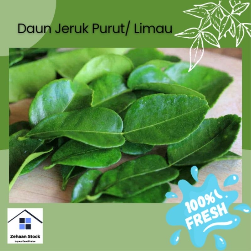 

Daun Jeruk Purut Segar per Pack Baru Petik 100% Fresh