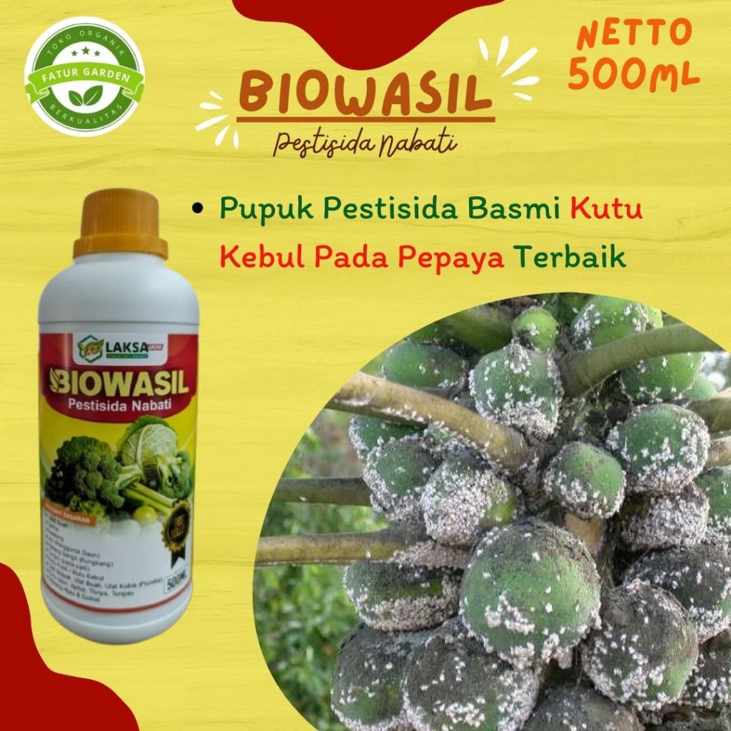 Obat Pengendali Kutu Kebul Pepaya Terbaik - BIOWASIL HAMA - Pestisida kutu putih pada pepaya ampuh