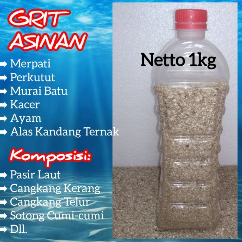 Grit Asinan Untuk Merpati Balap Jagoan Anda