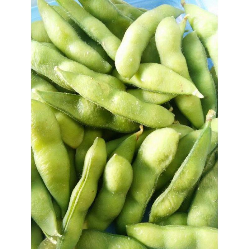 

KACANG EDAMAME FRESH 500gr (PEKANBARU SEKITAR)