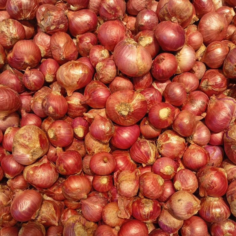 

BAWANG MERAH BREBES 500GRAM