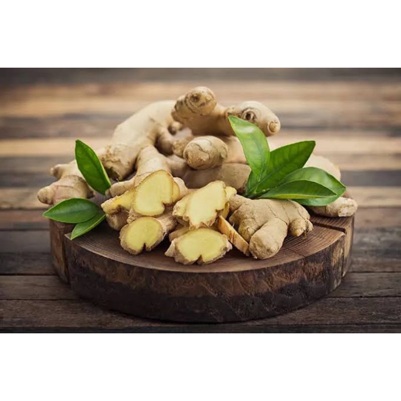 

Rempah rempah Indonesia produk Jahe besar segar berat 1kg/Indonesian spices large fresh ginger weighing 1kg
