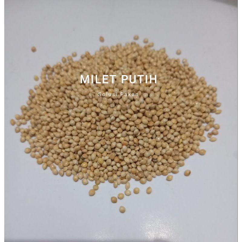 Millet Putih 1kg