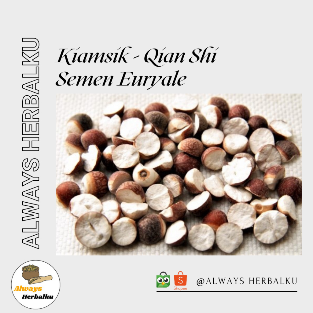 

Kiam sip / Qian shi / Euryale seed / Fox nut seeds (500 gram)