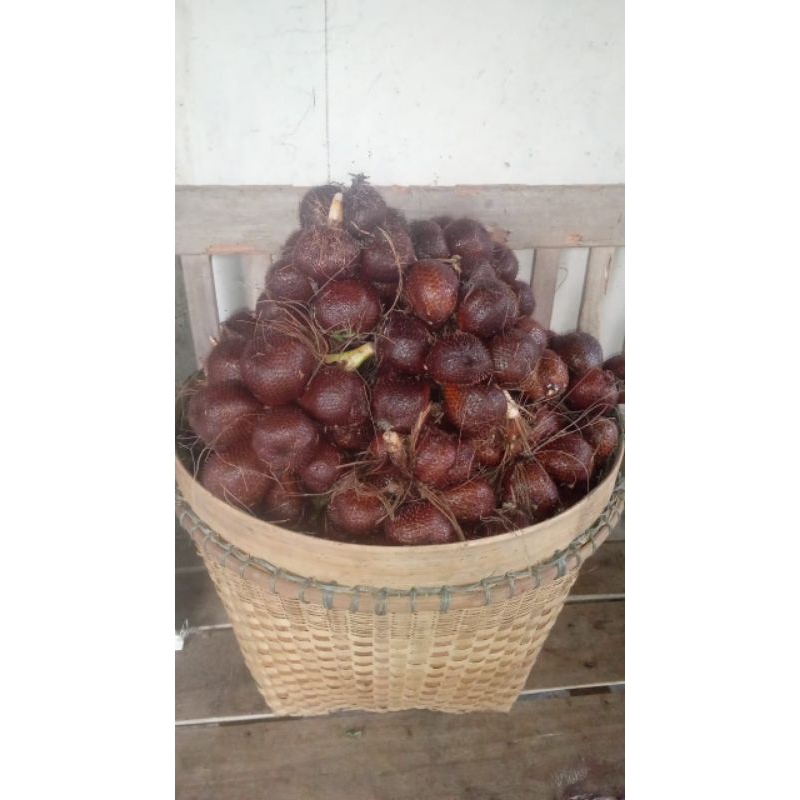 

Salak Pondoh Super Asli Sleman (900g-1kg)