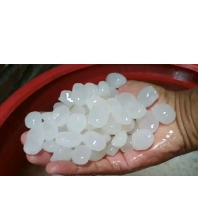 

kolang Kaling segar 1 kg kolang Kaling fresh