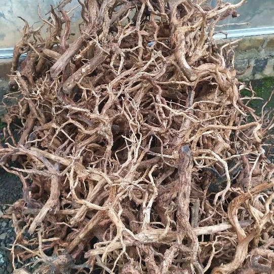 Kayu aquascape rasamala size XL