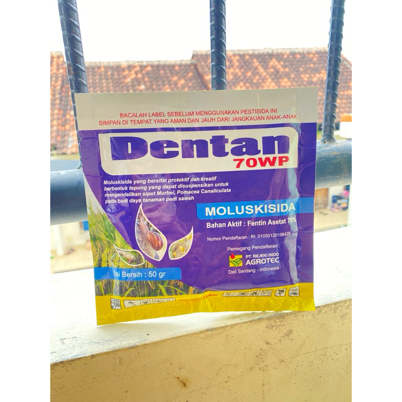 DENTAN 70 WP - King Sinar Tani - 50 gram Moluskisida Pembasmi Siput Keong Sawah Ampuh racun keong