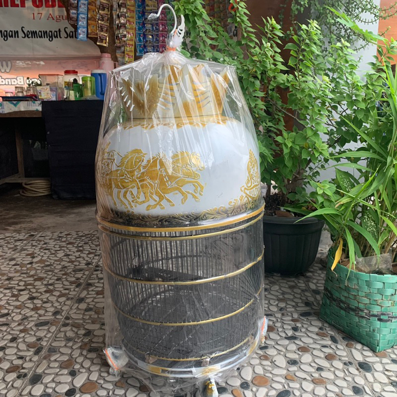 Sangkar perkutut motif elegan