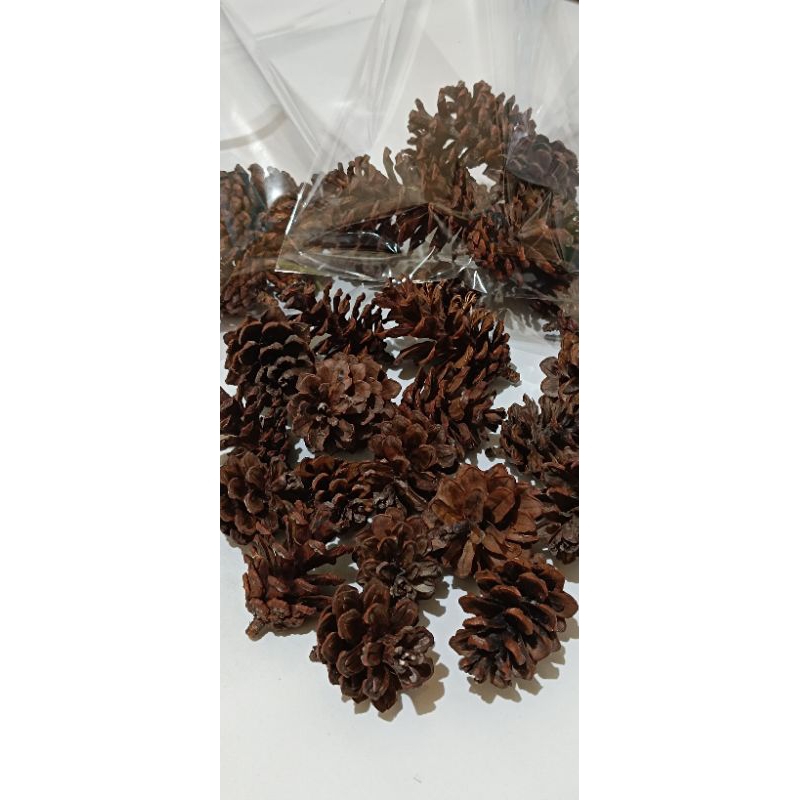 

Pinus Kering Aksesoris Natal