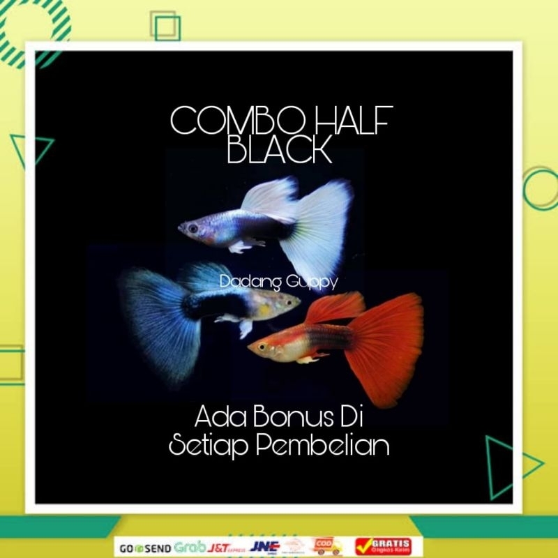 

Paket Hemat 3 Pasang