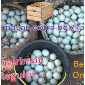 

TELUR bebek mentah murah Langsung dari kandang gratis kemasan extra aman