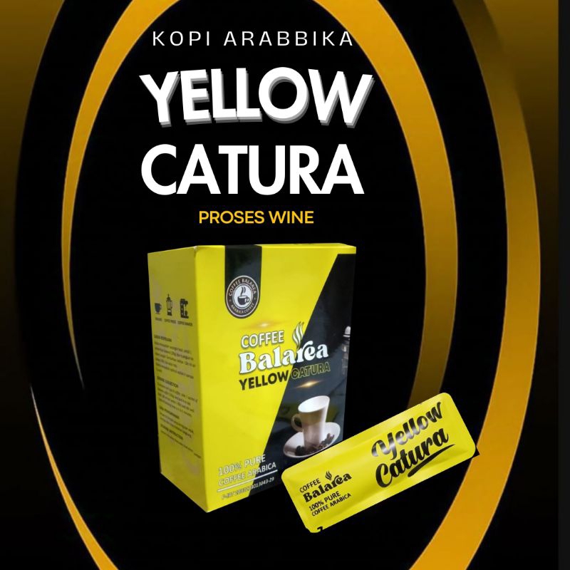 

Kopi Yellow Caturra Sechat, kopi yellow catura 10 sechat