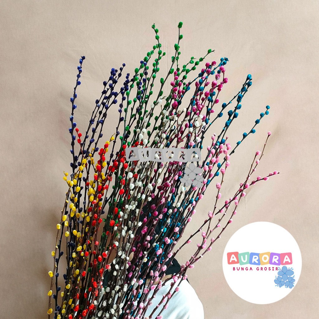 (9pcs) 120cm Dried Pussy Willow LARGE 2023 Bunga Imlek Dekorasi Chinese New Year Decoration CNY Bung