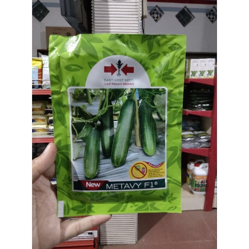 bibit benih timun metavy f1