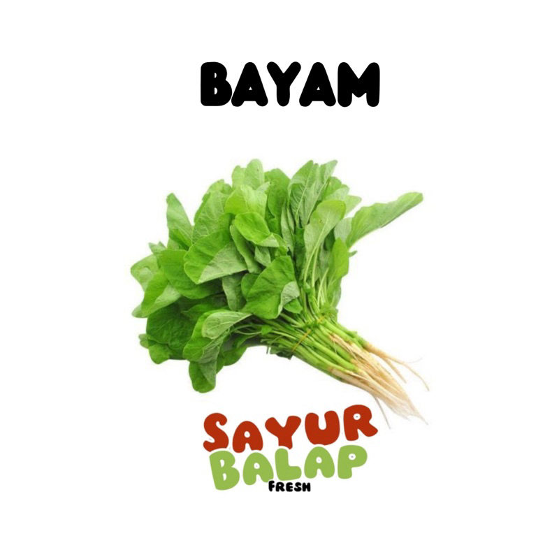 

Sayur Bayam Segar 1Ikat Sayur Bayem