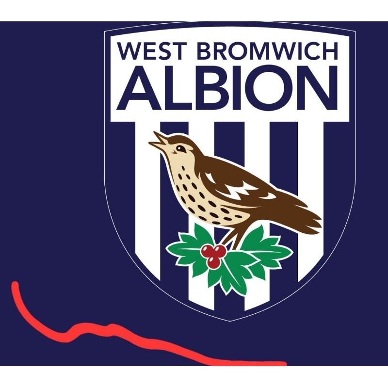 JERSEY WEST BROMWICH ALBION (BARU)