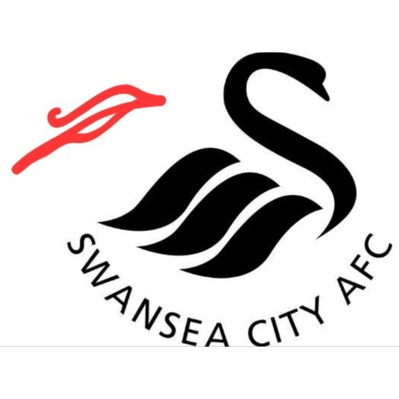 JERSEY SWANSEA CITY (BARU)