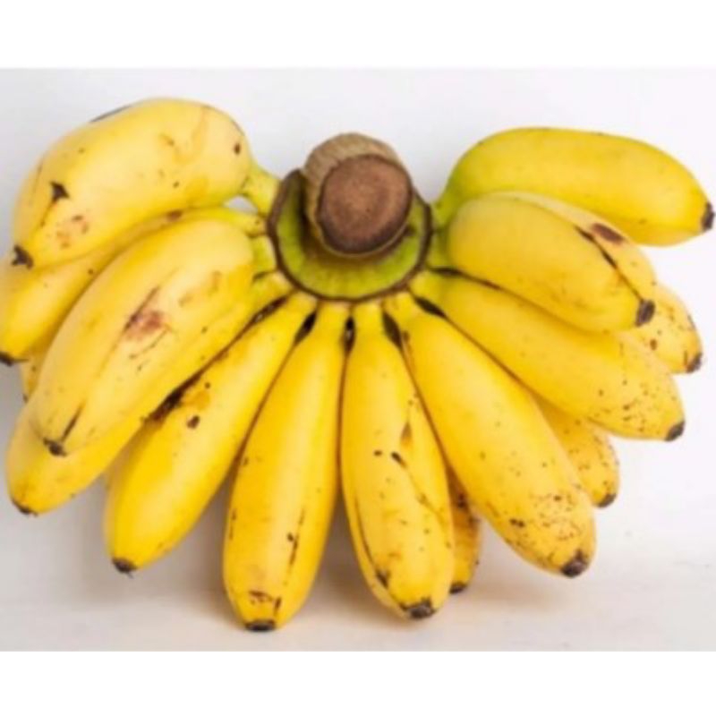 

PISANG EMAS/LIMPUNG TUA MATANG KETIKA UDAH SAMPAI NETTO 1 KG