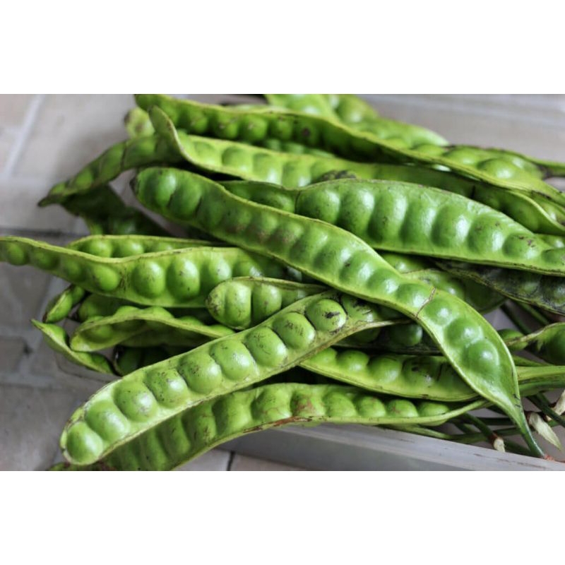 

PETE Gemoi / kacang isi 10 lonjor