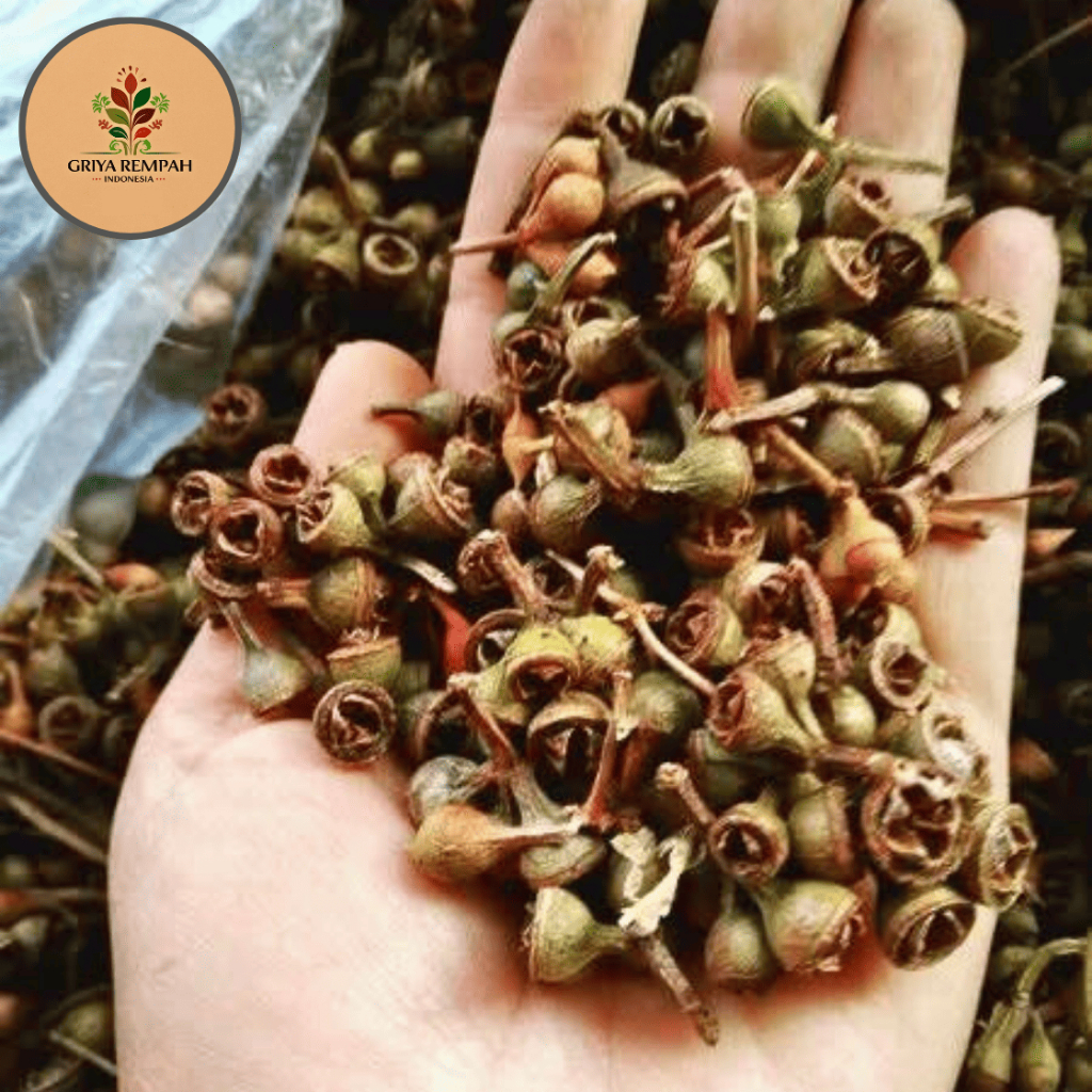 

CEPLIK SARI KERING 250 GRAM Premium – Buah Ceplikan Biji Cepliksari Ramuan Rempah Herbal Jamu Tradisional Simplisia