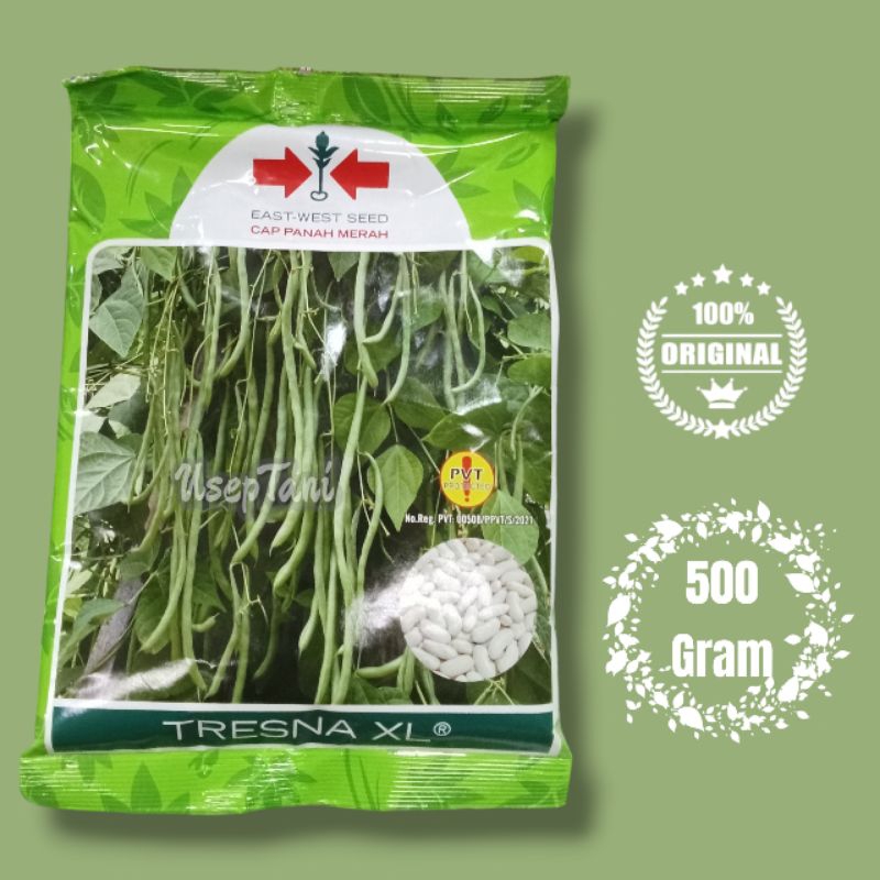 

BENIH BUNCIS F1 TRESNA XL 500 GRAM CAP PANAH MERAH