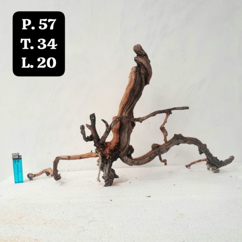 Kayu Aquascape - Kayu Santigi