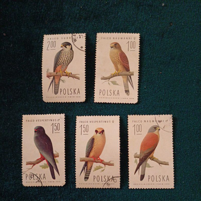 

Stamp Prangko, POLSKA, Seri FALCO, Birds edition,