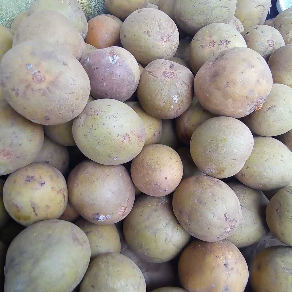 

SAWO PADANG 1KG