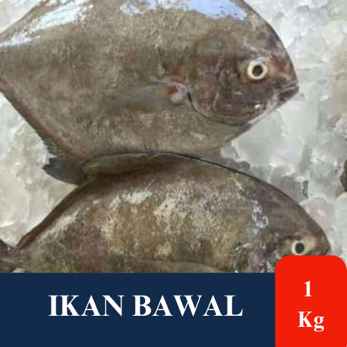 

Ikan Bawal 1 Kg Isi 3-4 Ekor - Ikan Makassar