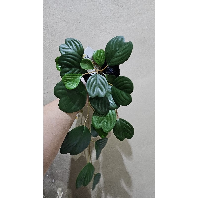 Fejka Tanaman Tiruan Dalam Pot Dalam/Luar Ruang Digantung/Peperomia Uk 9 Cm, Tanaman Hias, Tanaman