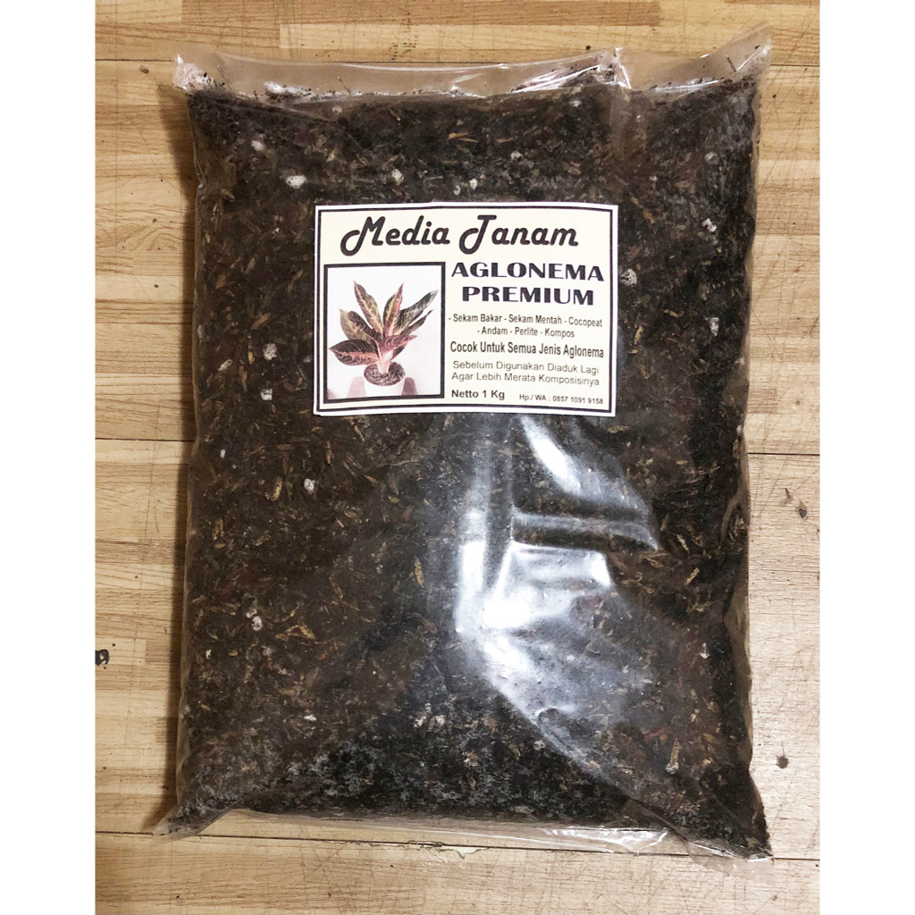MEDIA TANAM AGLONEMA SUPER PREMIUM