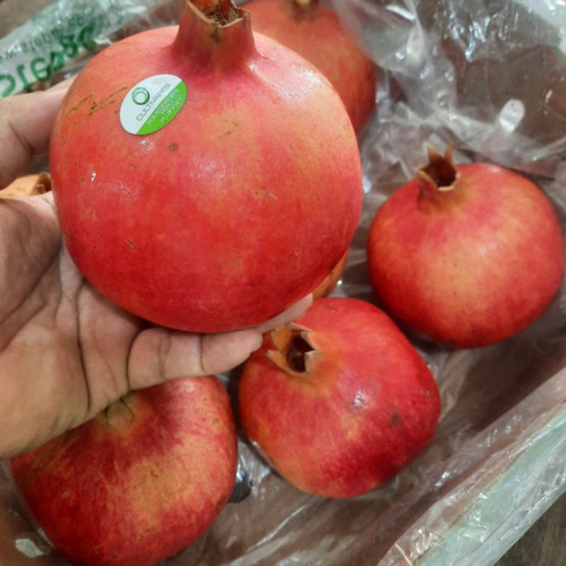 

BUAH DELIMA IMPORT PER 1BUAH SEGAR