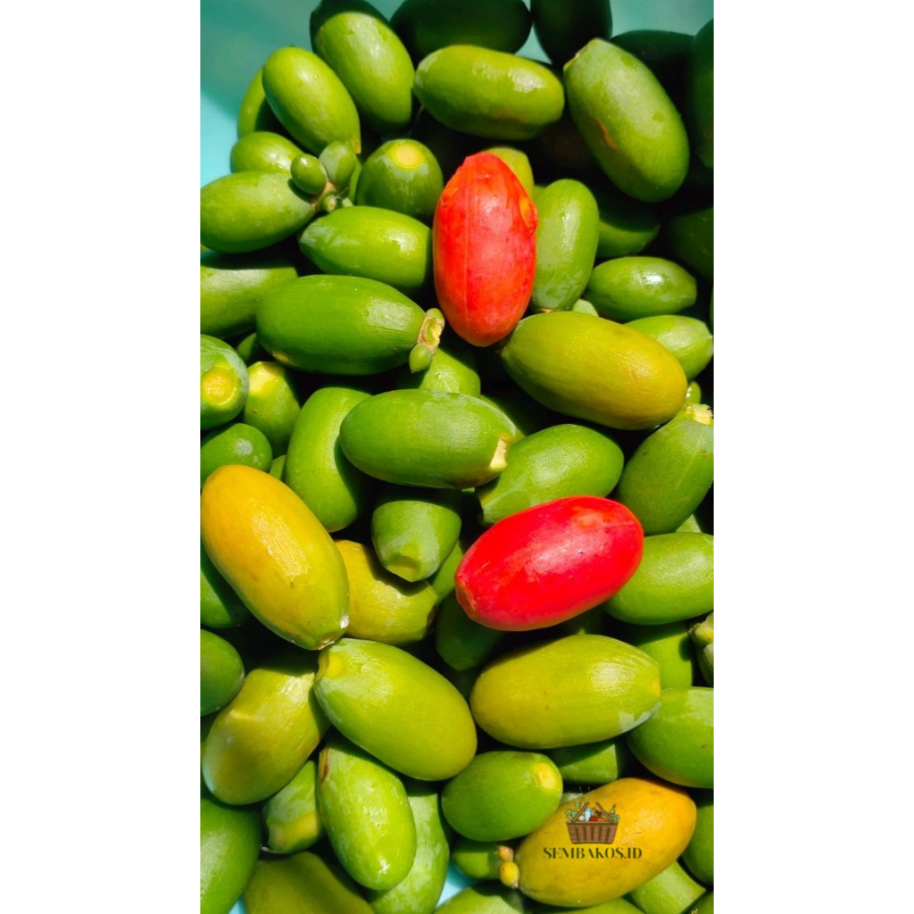 

INSTAN - Melinjo | Biji Belinjo atau Melinjo | Buah Melinjo per 250g
